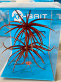 Urchins (Flails)